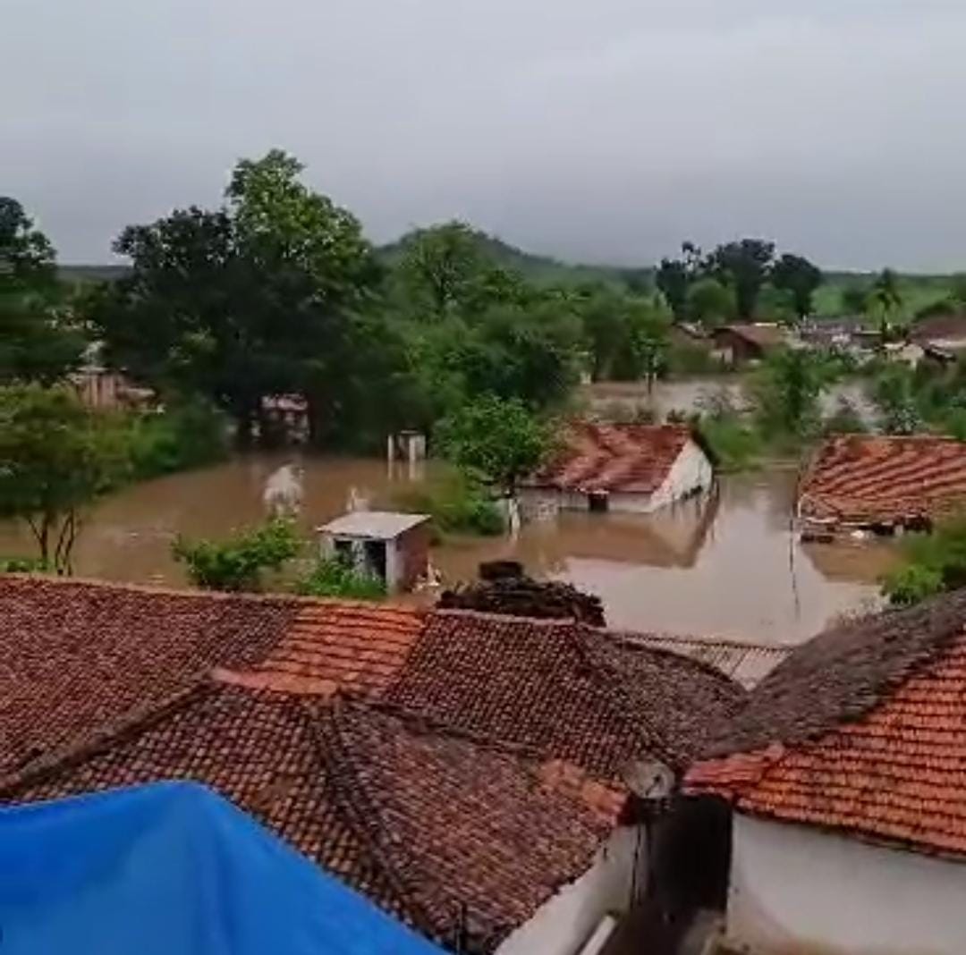 naidunia_image